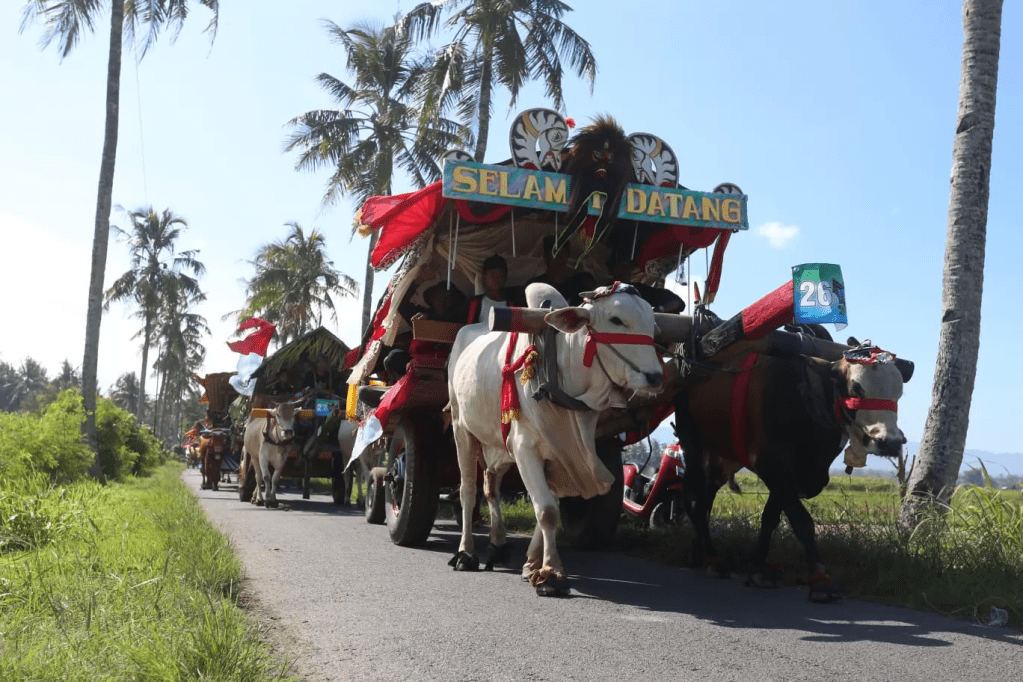 Melihat Tradisi Festival Pegon Jember, Hidupkan Kembali Tradisi Era 80an, Dihias hingga Jalan Menuju Pantai Watu Ulo